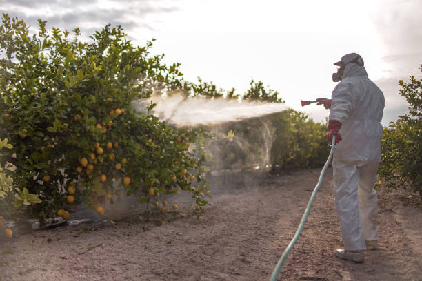 Best Residential Pest Control  in Mooresville, IN