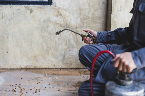 Best Pest Control Near Me  in Mooresville, IN
